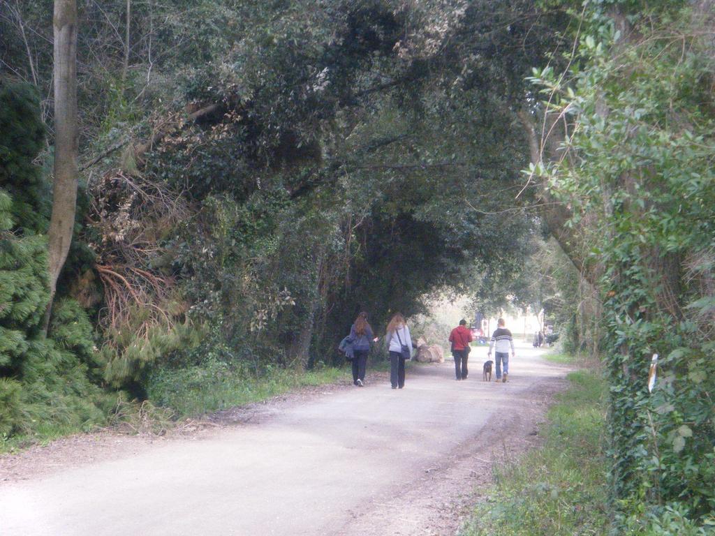 Vacanze A Viareggio Oda fotoğraf